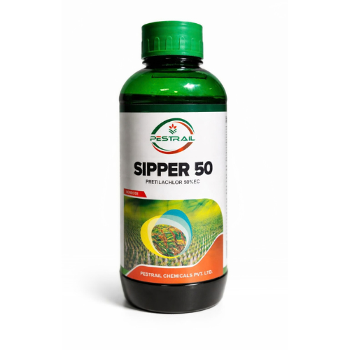 SIPPER 50